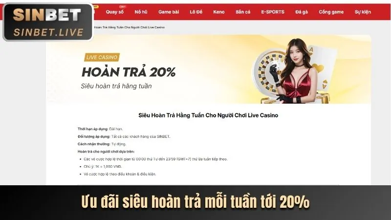 Chương trình VIP độc quyền e88 nhà cái